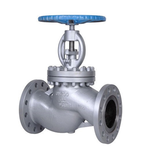 Globe Valve