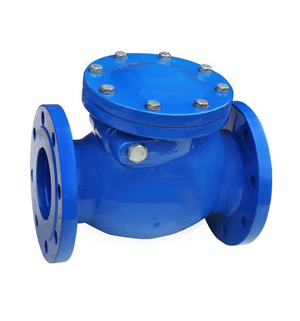 Non Return Valves