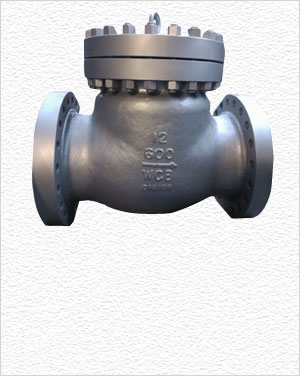 Swing Type Valve