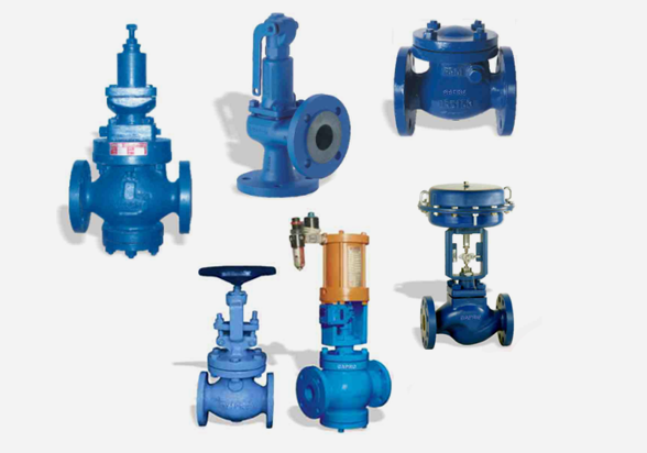 Capro Valves & Controls Pvt. Ltd.
                            