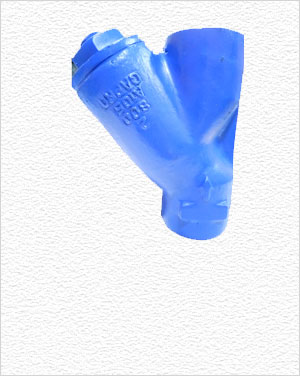 Y Type Strainer Valve